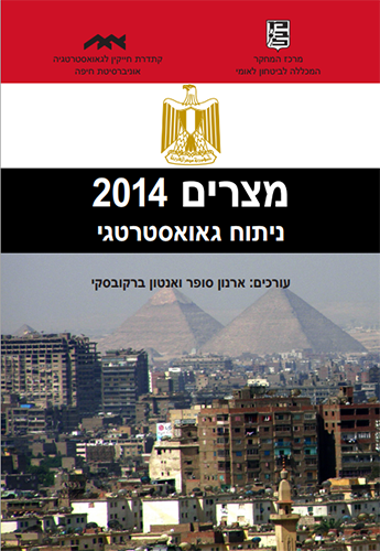 מצרים 2014, ניתוח גאואסטרטגי